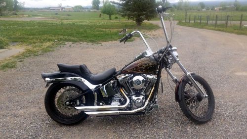 Harley-Davidson Thunder Mountain Custom - STERLING