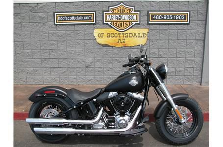 2013 Harley-Davidson FLS103 Cruiser 