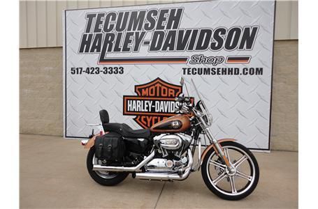 2008 Harley-Davidson XL1200C Cruiser 