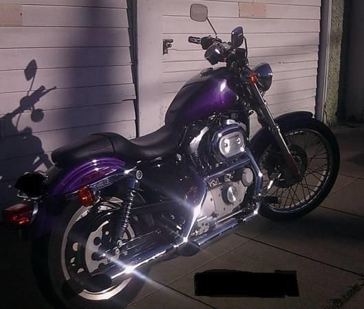 2001 Harley Davidson Sportster XL 883 Custom
