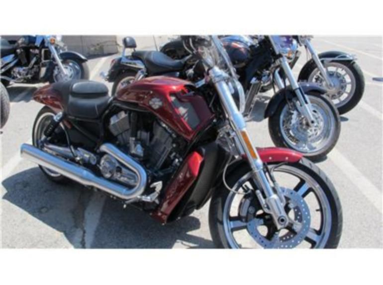 2009 Harley-Davidson V-Rod Muscle Custom 