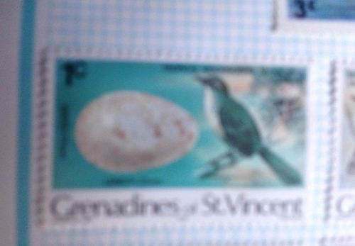 Grenadines of st vincent - 1978 - birds &amp; eggs - mockingbird - 1c - unused