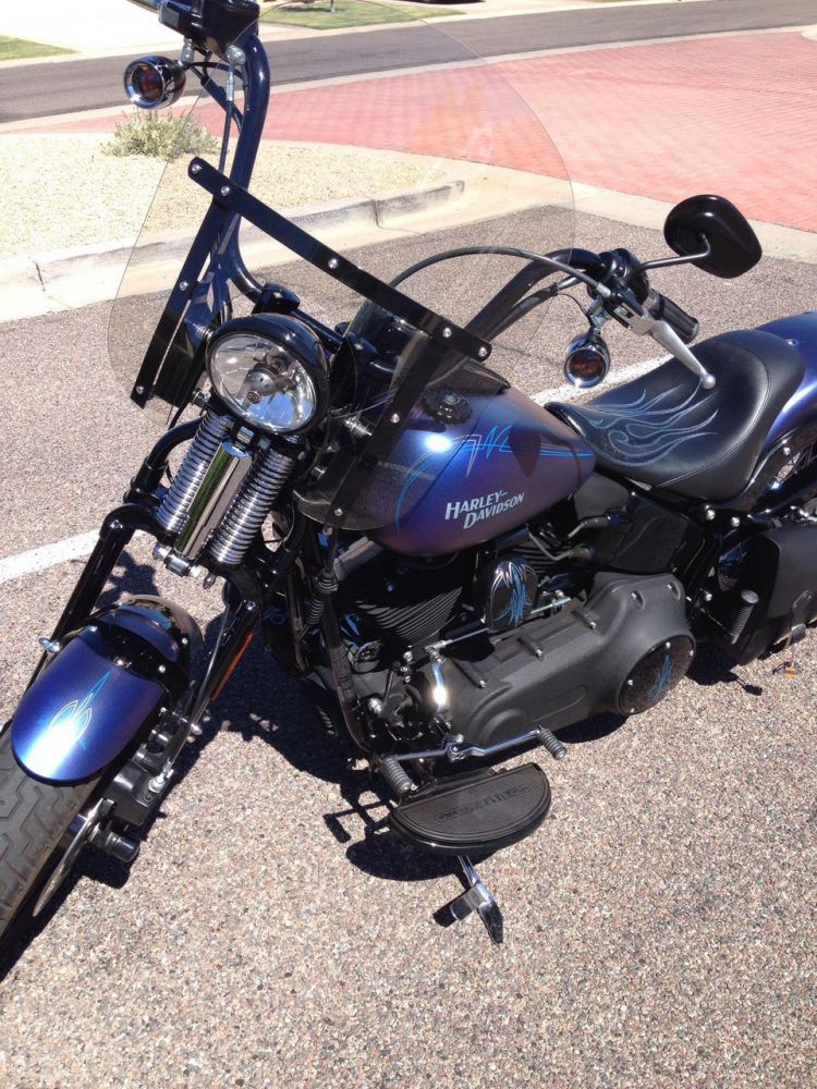 2010 Harley-Davidson Softail CROSS BONES Cruiser 