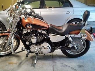 2008 Harley-Davidson Sportster 1200 Custom 