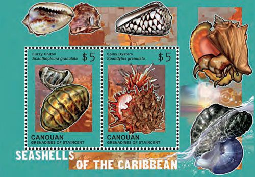 Canouan St Vincent - Seashells of the Caribbean 2014 - 1408 S/S MNH