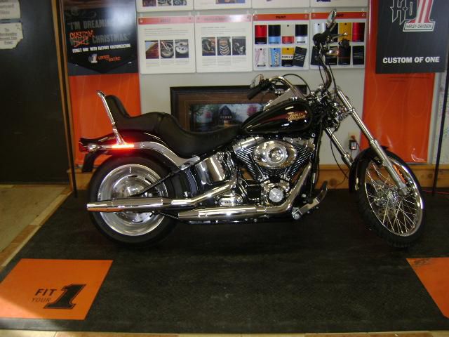 2010 Harley-Davidson Softail Custom Fxstc Cruiser 