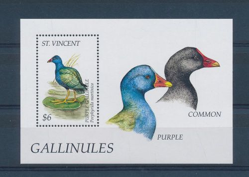 LE50716 St Vincent purple gallinule birds good sheet MNH