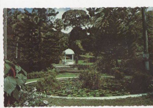 Botanical gardens st vincent &amp; the grenadines 1985 postcard 0954