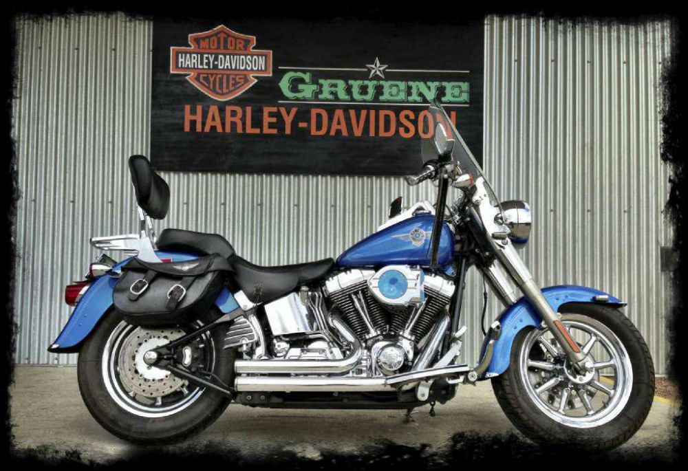 2002 Harley-Davidson FLSTF/FLSTFI Fat Boy Cruiser 