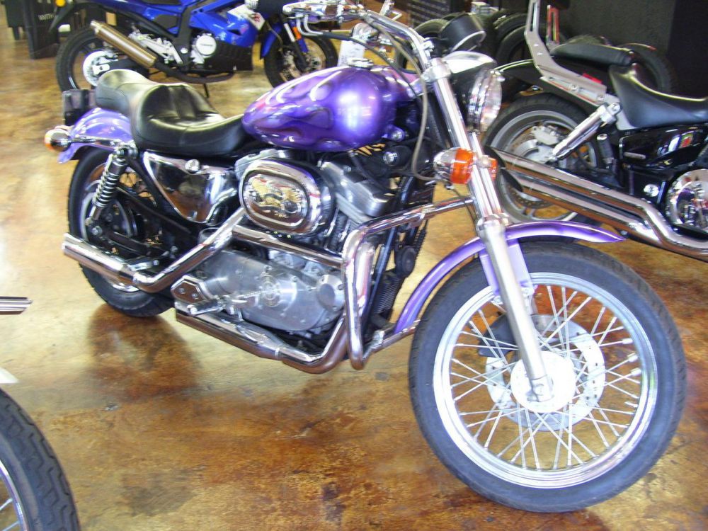 2000 Harley-Davidson Cruiser Cruiser 