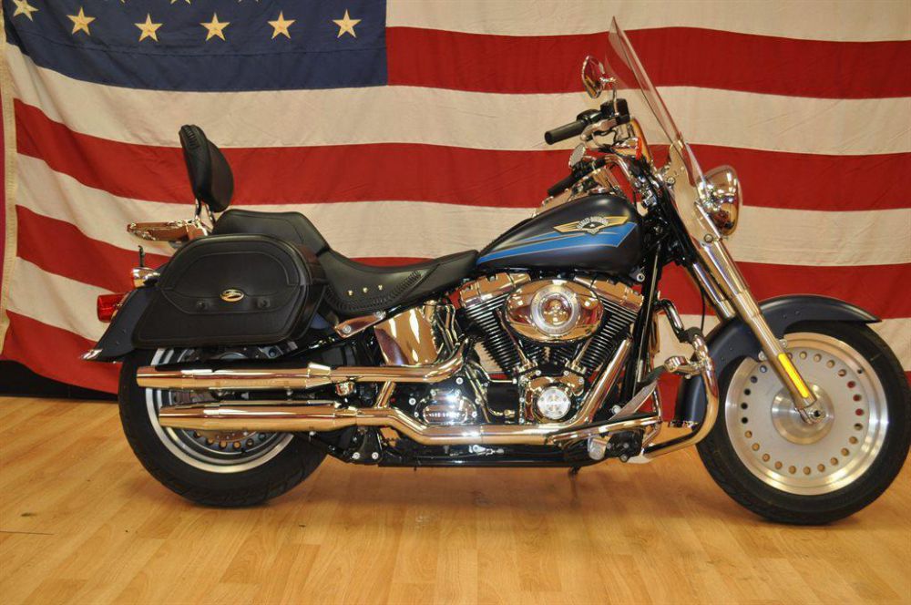 2008 Harley-Davidson Flstf Cruiser 