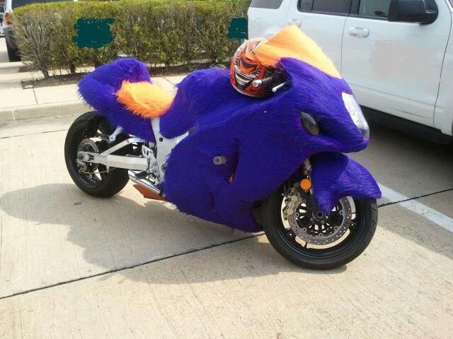 fur, purple, orange, motorcycle, hayabusa. busa, low mileage, stretched