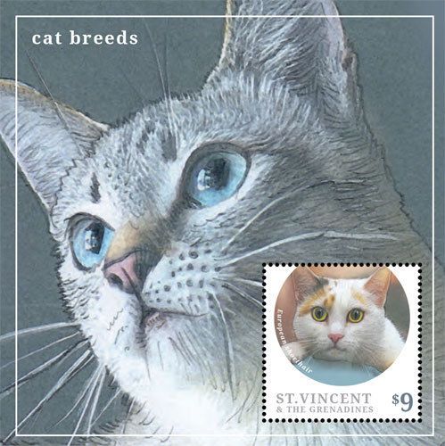 St vincent - cat breeds, european shorthair, 2013 - s/s mnh