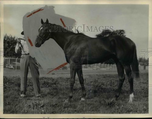 1954 Press Photo Race horse Red Hannigan &amp; trainer Homer Pardue at track