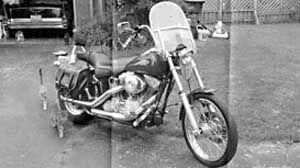 2001 Harley Davidson Softail