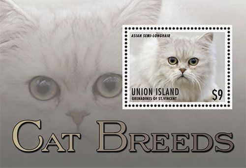 Union island grenadines of st. vincent-2013-cat breeds