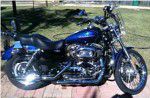 Used 2007 Harley-Davidson Sportster 1200 Standard XL1200 For Sale