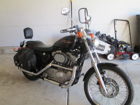 2001 Harley Davidson Custom XL Sportser