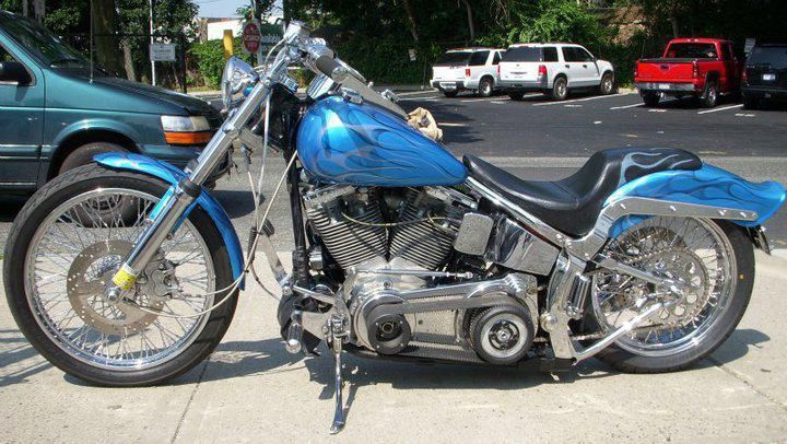 Custom Harley Softtail Standard!