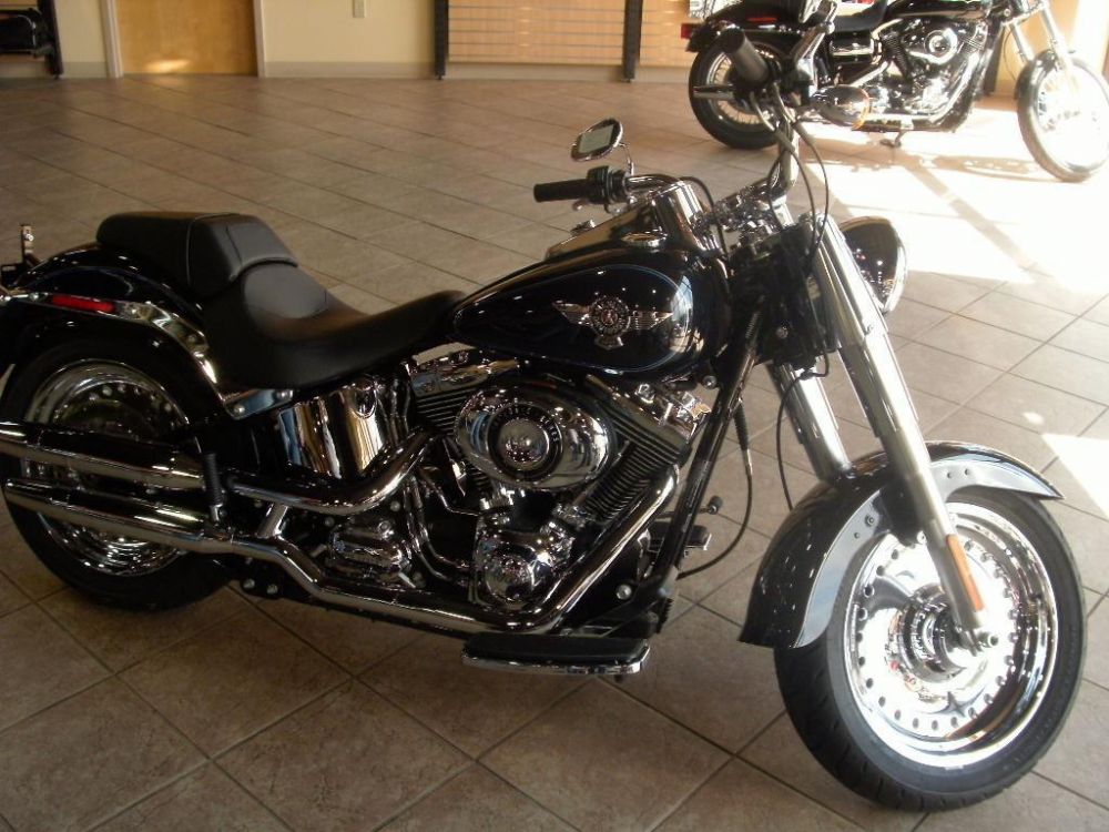 2013 Harley-Davidson FLSTF Standard 