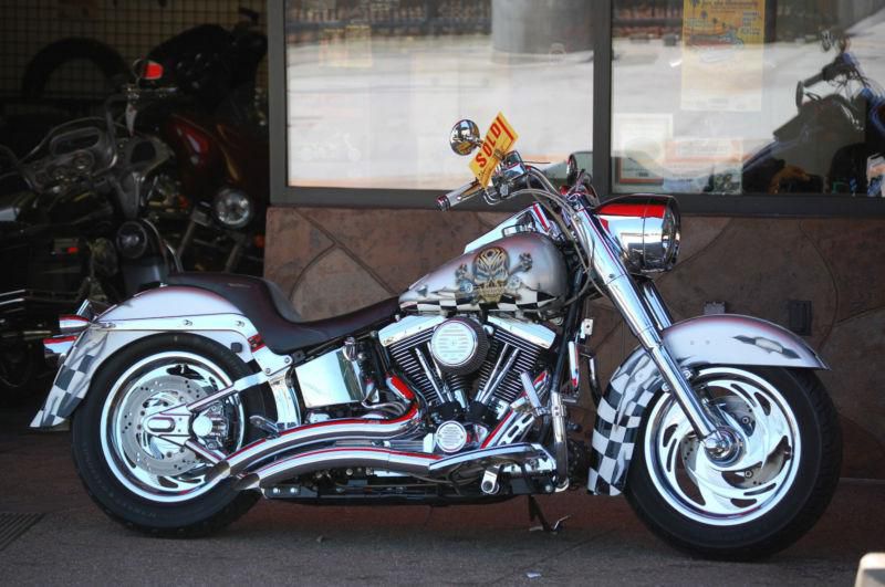1999 Custom Softtail. Amazing paint job. Tons of chrome. Excellent Condition.