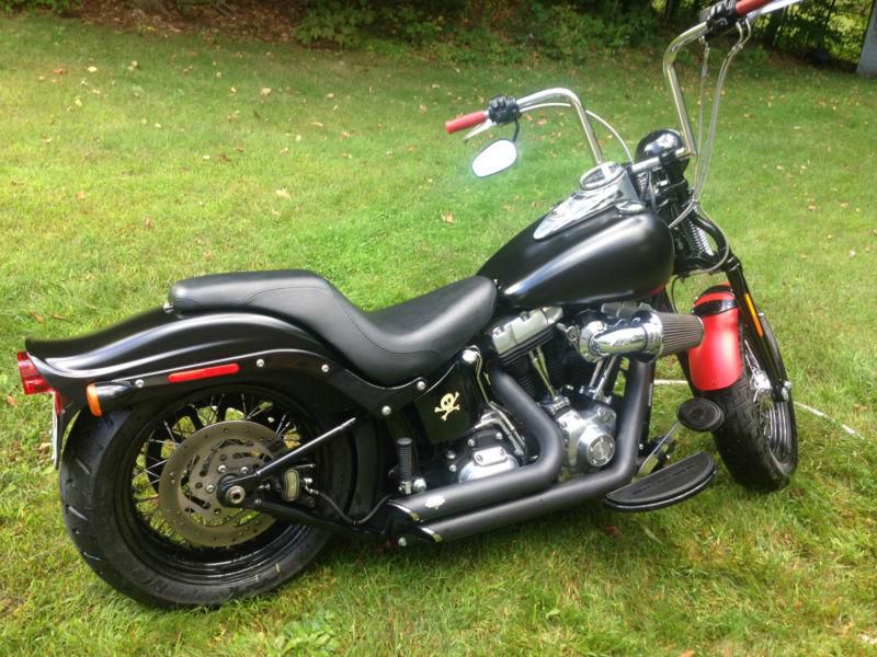 2009 Harley Davidson Crossbones Custom