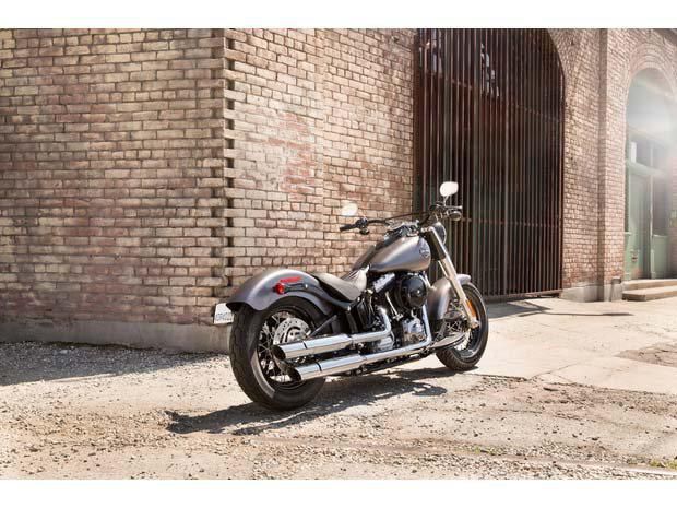2014 Harley-Davidson FLS Softail Slim SLIM Cruiser 