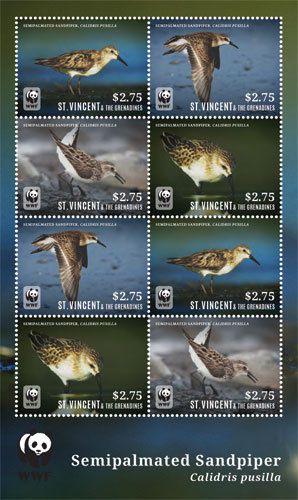 St vincent - world wide fund, semipalmated sandpiper, birds, 2014 - sheet of 8
