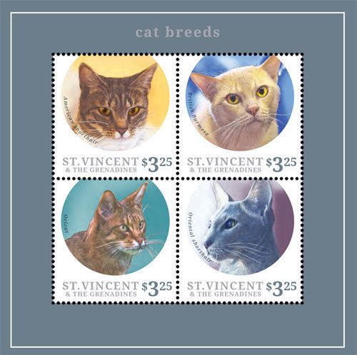St Vincent - Cat Breeds, 2013 - S/H 1337 MNH