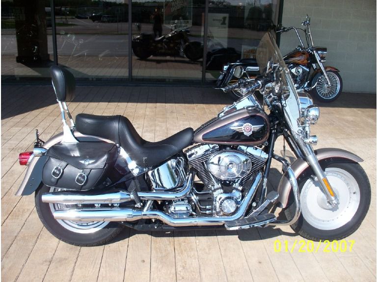 2004 Harley-Davidson FLSTFI 