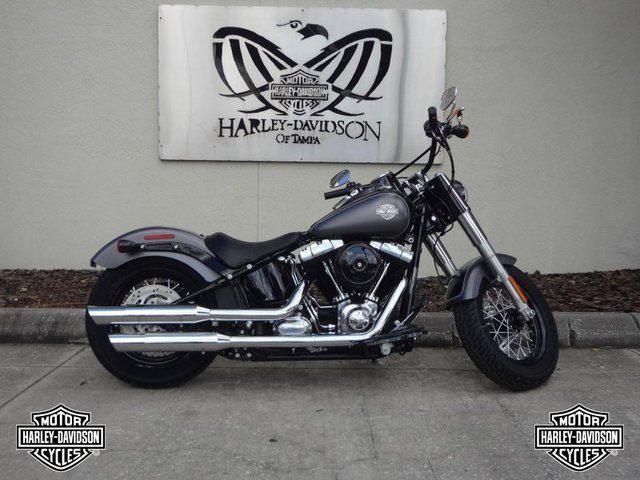 2014 Harley-Davidson FLS Other 