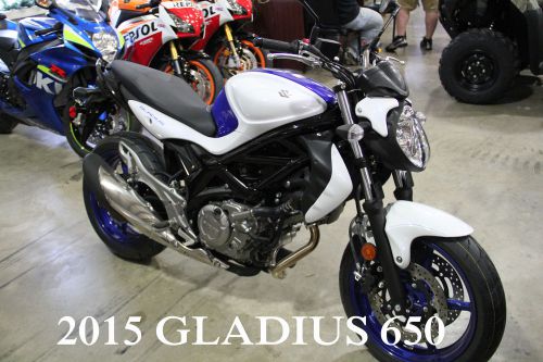 2015 Suzuki SV