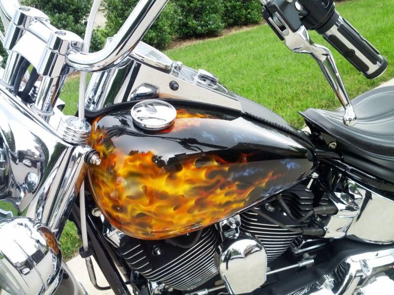 2009 harley davidson softail deluxe custom "one of a kind" paint only 2200 miles