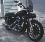 Used 2010 Harley-Davidson Sportster 1200 Low XL1200L For Sale