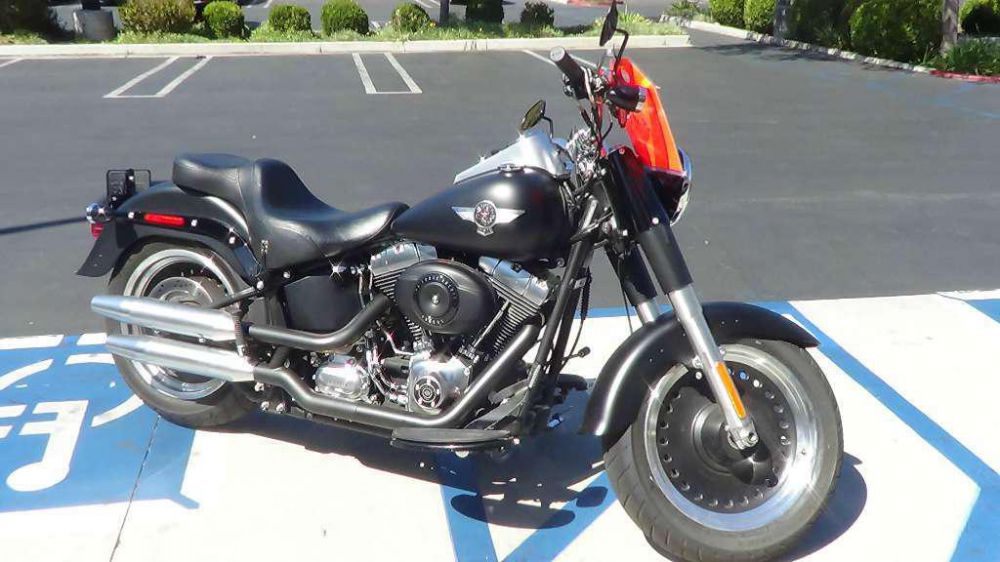 2010 Harley-Davidson FLSTFB Standard 