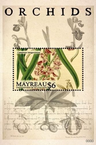 Mayreau Grenadines of St. Vincent - Orchids, 2011 - 1109 S/S MNH