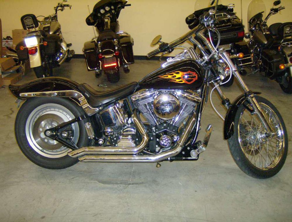 1998 Harley-Davidson FXSTC Standard 